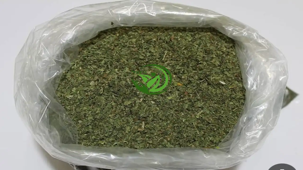 Crushed Molokhia Exporter from Egypt